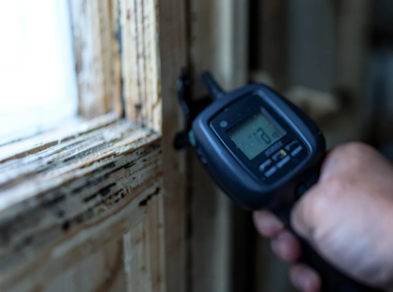 Moisture Inspection And Documentation in Ellerslie, MD